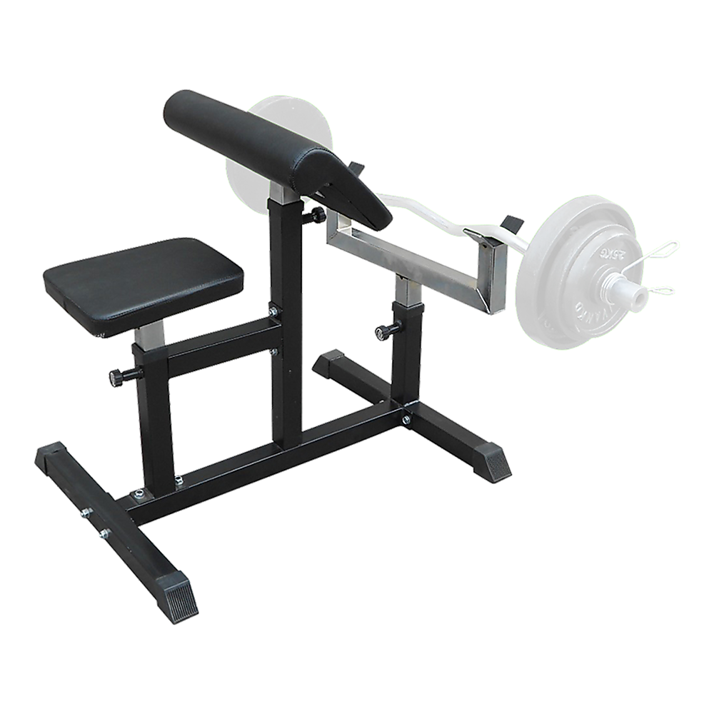 Preacher Curl Bench Weights Commercial Bicep Arms